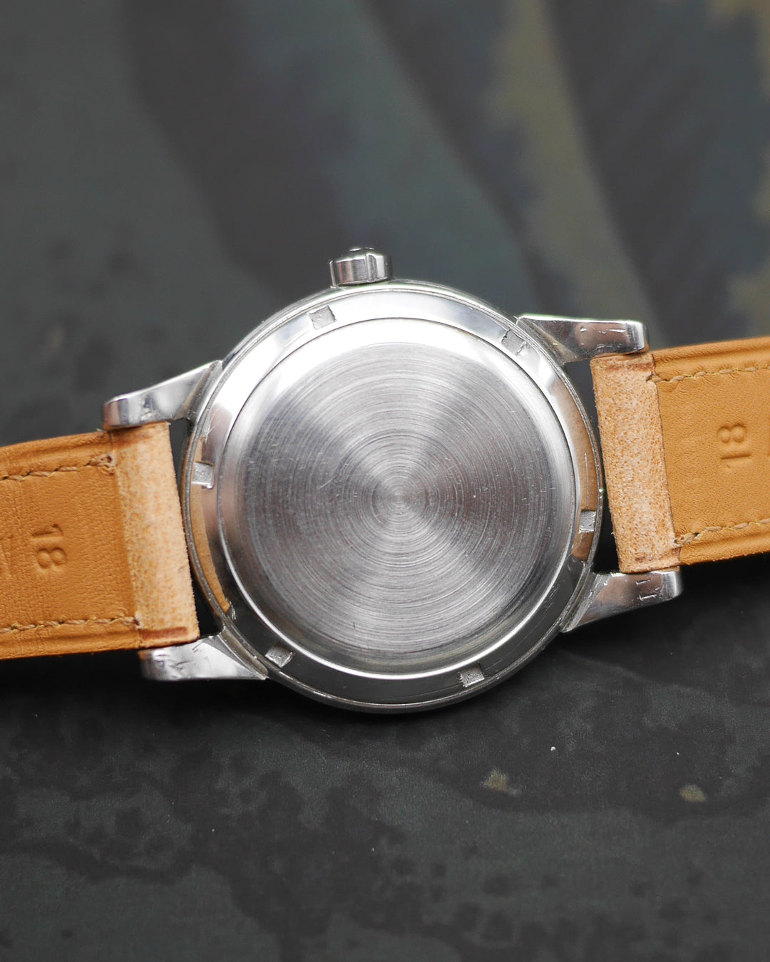 1950s Omega Seamaster Jumbo ref. 2494 SC with its champagne dial